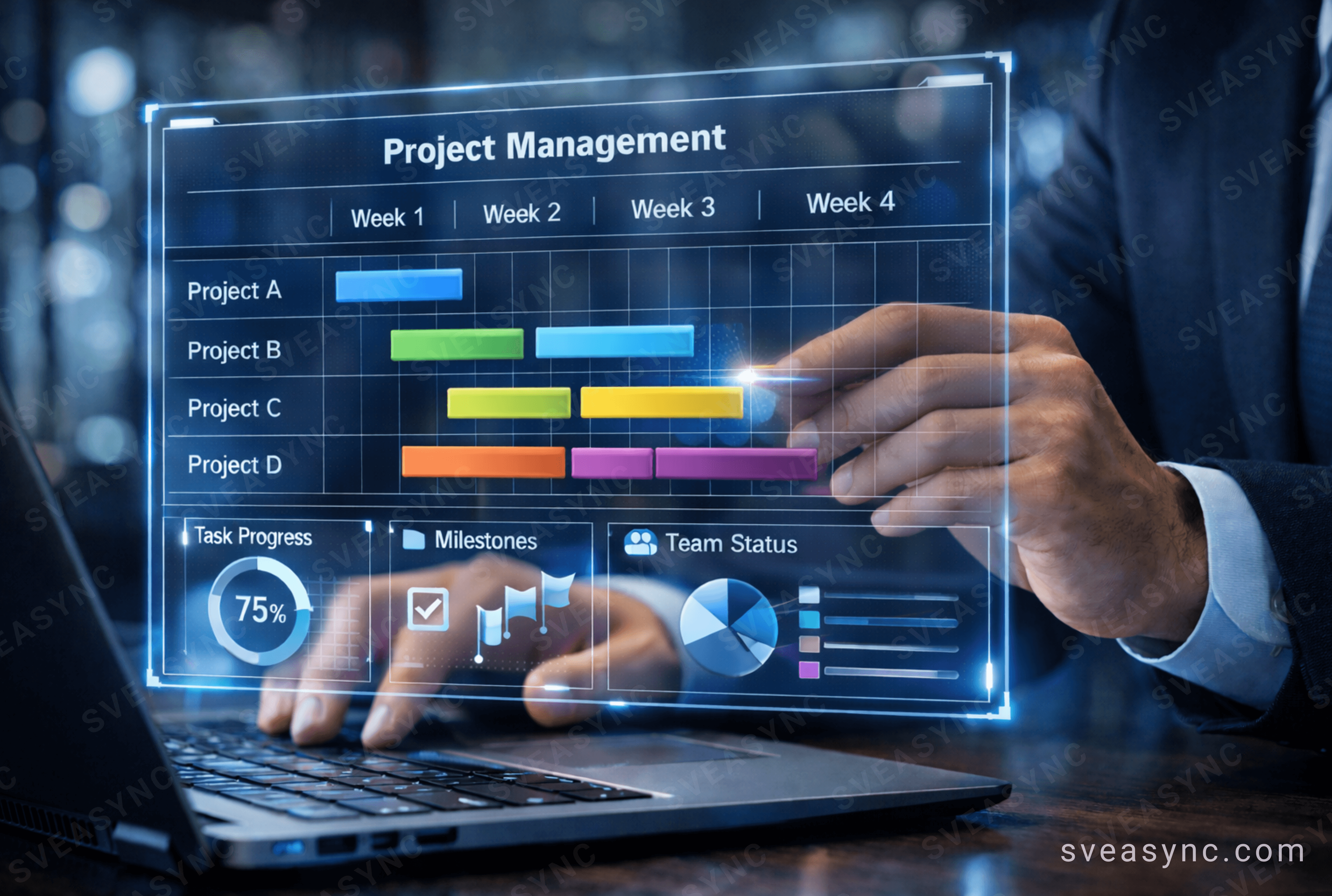Project Management